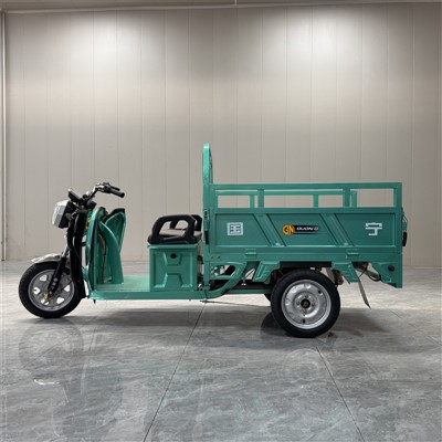 화물용 전기차의 보험료는 얼마인가요?